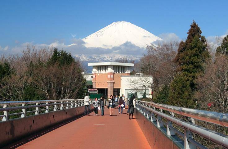 【日本 一人成團系列】新宿出發 富士山五合目、河口湖、忍野八海、御殿場Outlet 1天團