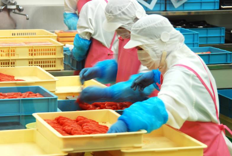 【春季茨城粉蝶花一日遊】常陸海濱公園・那珂湊魚市場・採草莓吃到飽 ｜新宿出發