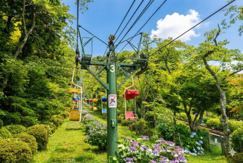 【天橋立＆美山茅葺之里一日遊】智恩寺＆天橋立遊覽船＆傘松公園＆含天橋立日式定食｜大阪難波・京都出發