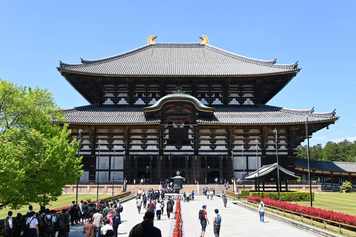 【日本 一人成團系列】京都、奈良【東大寺、金閣寺、嵐山】京都豆腐料理美食 1天團