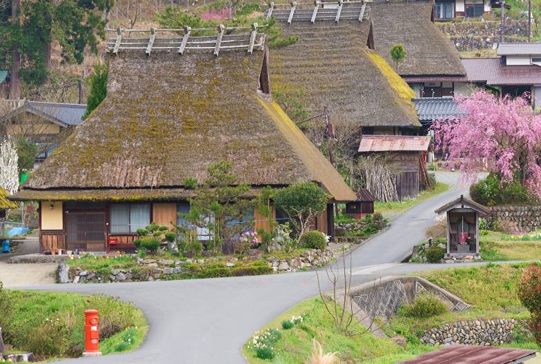 【天橋立＆美山茅葺之里一日遊】智恩寺＆天橋立遊覽船＆傘松公園＆含天橋立日式定食｜大阪難波・京都出發