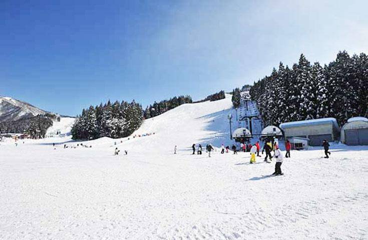 【日本 一人成團系列】夜間出發 越後湯澤滑雪場一日遊：｜滑雪｜東京&新宿出發