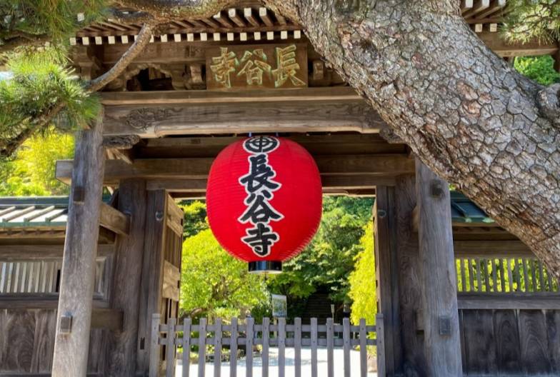 【鎌倉江之島經典一日遊】鶴岡八幡宮＆小町通＆鎌倉大佛＆長谷寺 ｜池袋・新宿出發